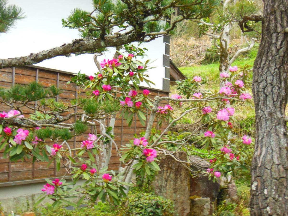 Japanese Style Inn Dohzen Miwa Niimi Luaran gambar